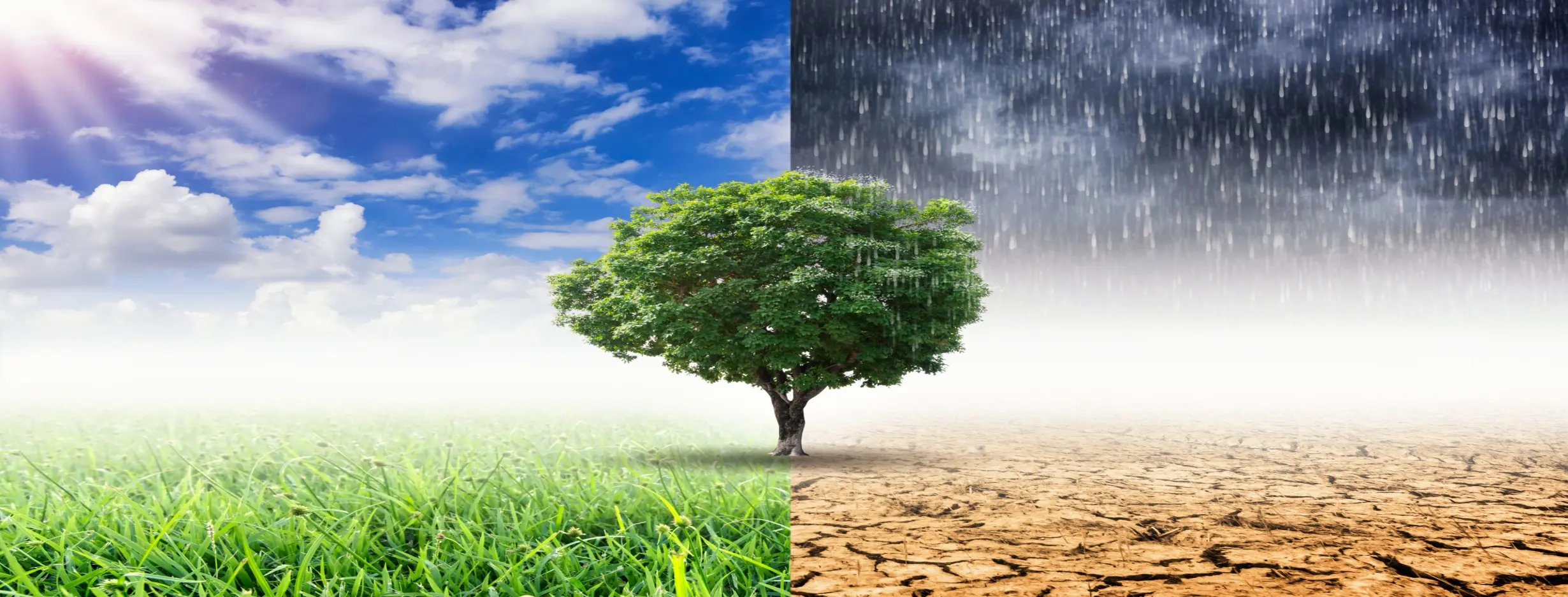 Image for Weather and Climate